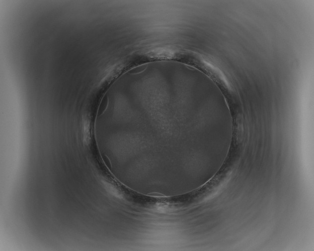 X0000111380641200907101127