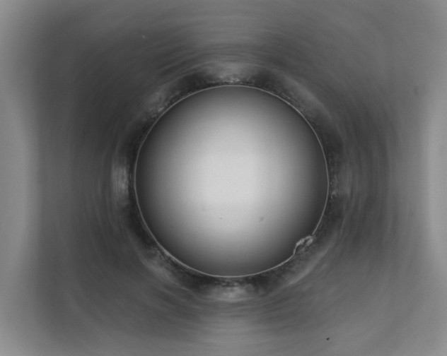 X0000111380646200907101127