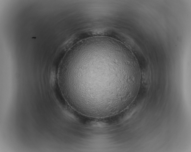 X0000111380648200907101127