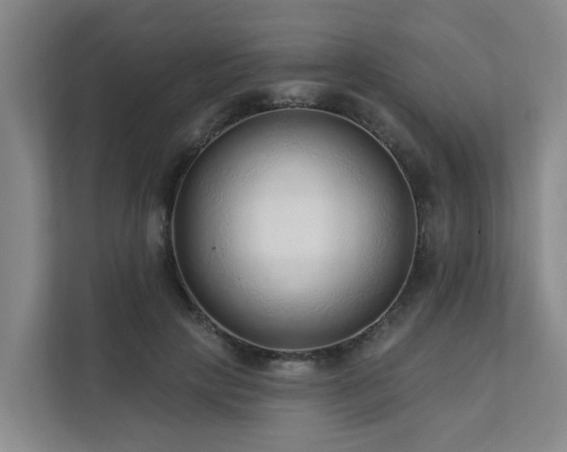 X0000111380649200907101127