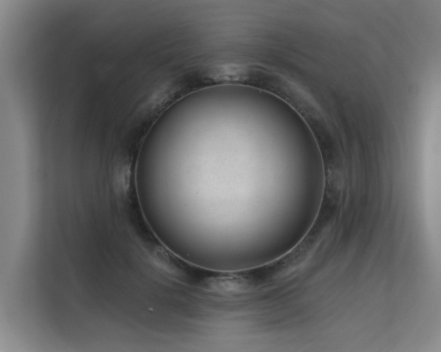 X0000111380652200907101127