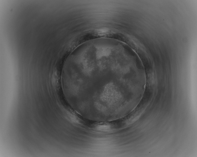 X0000111380653200907101127