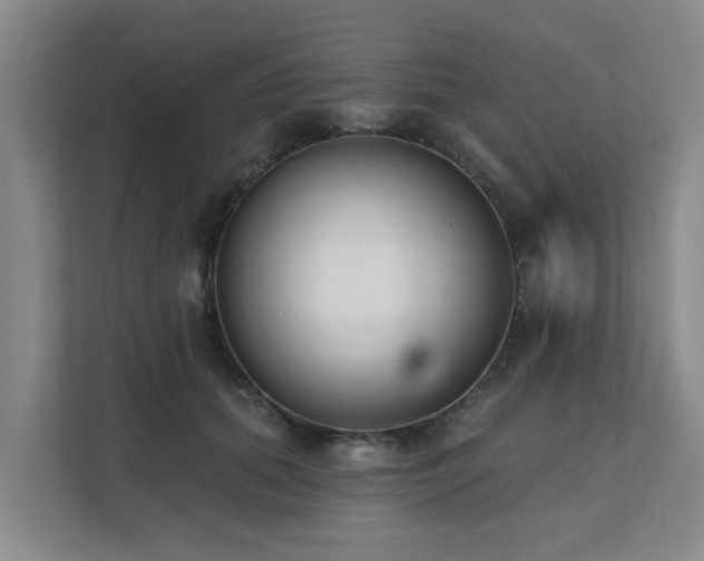 X0000111380655200907101127