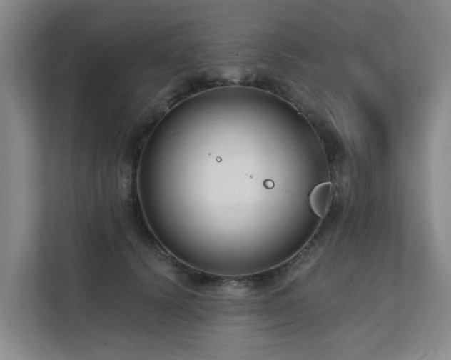 X0000111380656200907101127