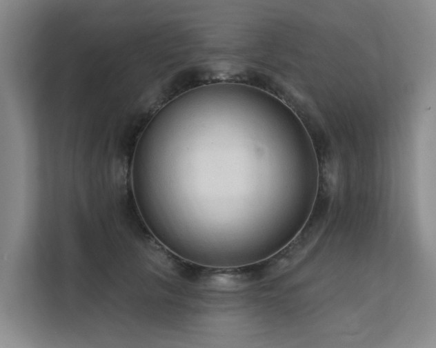 X0000111380657200907101127