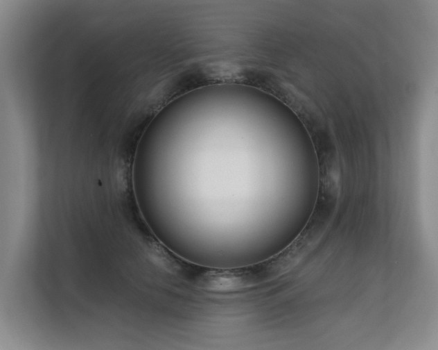 X0000111380658200907101127