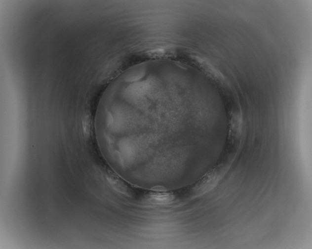 X0000111380659200907101127