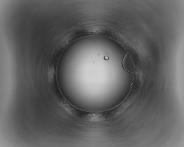X0000111380660200907101127