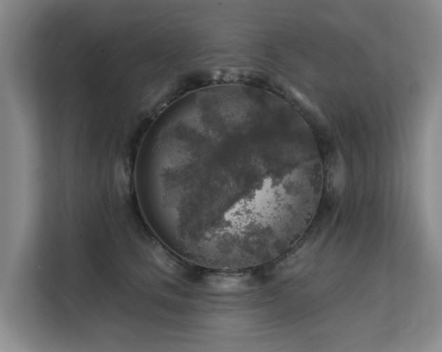 X0000111380661200907101127