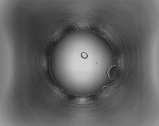 X0000111380662200907101127