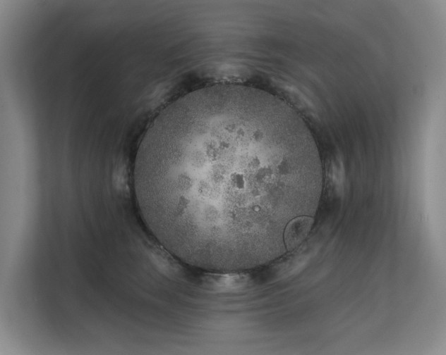 X0000111380663200907101127