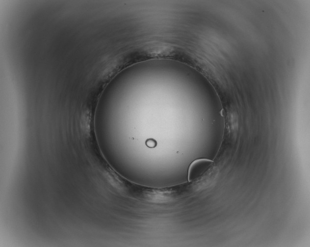 X0000111380664200907101127
