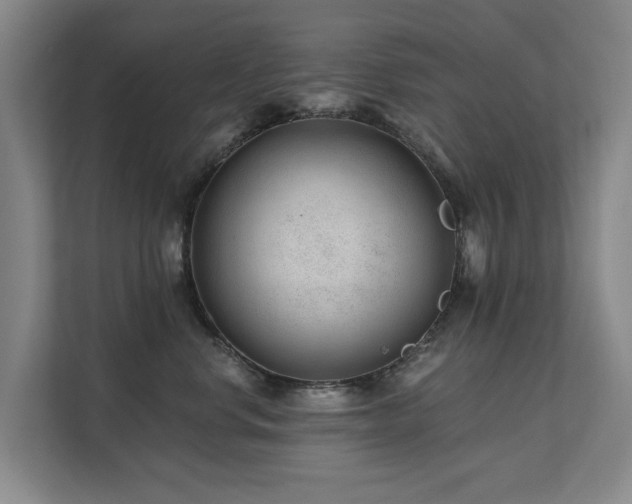 X0000111380668200907101127