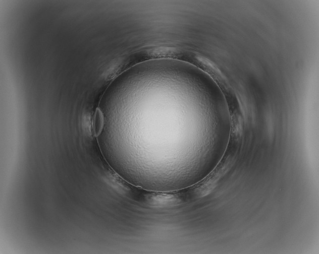X0000111380669200907101127