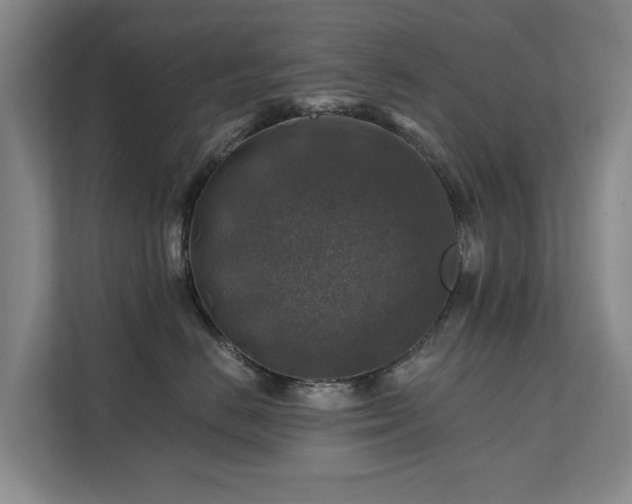 X0000111380670200907101127