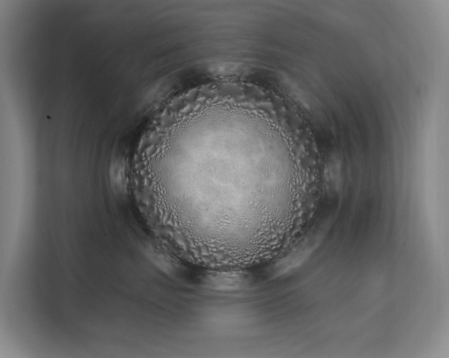 X0000111380671200907101127