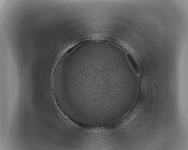 X0000111380673200907101127