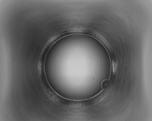 X0000111380675200907101127