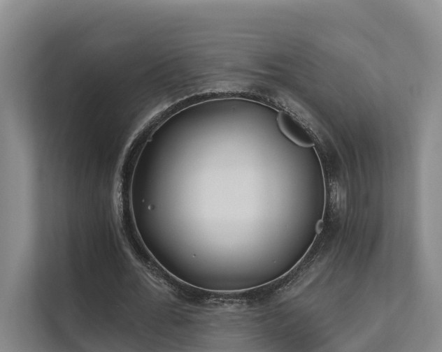 X0000111380676200907101126