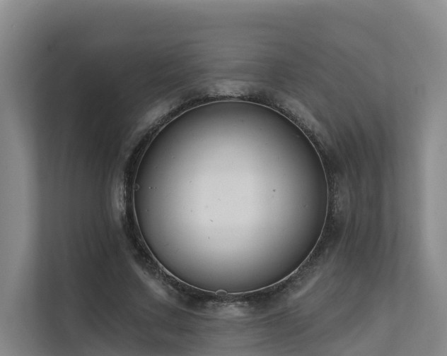 X0000111380683200907101126