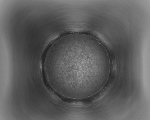 X0000111380685200907101126
