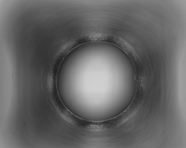 X0000111380690200907101126