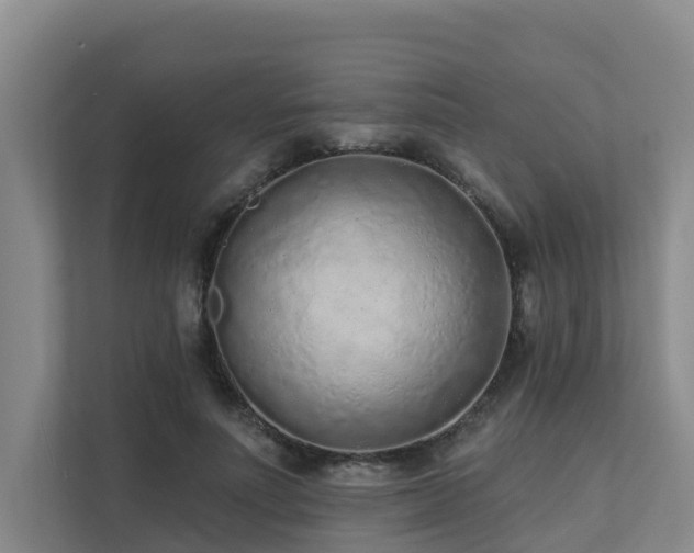 X0000111380691200907101126