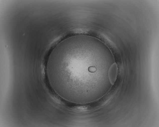 X0000111380692200907101126