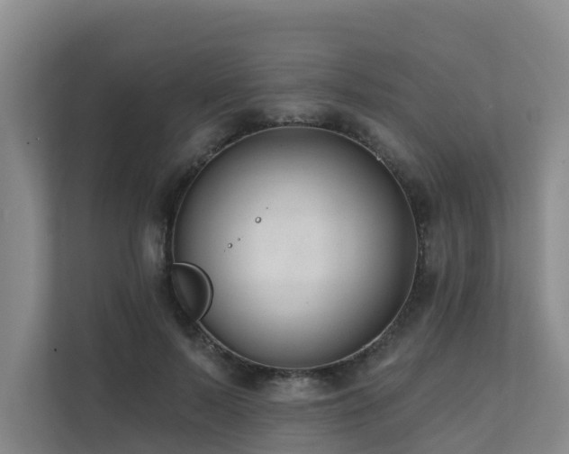 X0000111380695200907101126