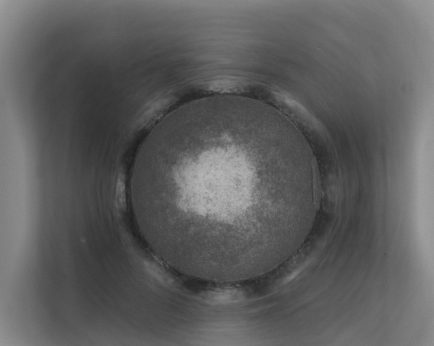 X0000111380696200907101126