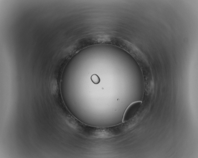 X0000111380704200907101126