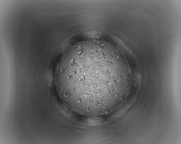 X0000111380707200907101126