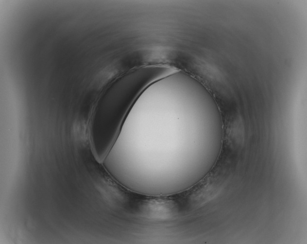 X0000111380708200907101126