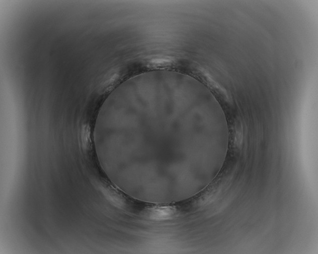 X0000111380711200907101126