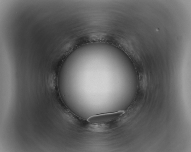 X0000111380712200907101126