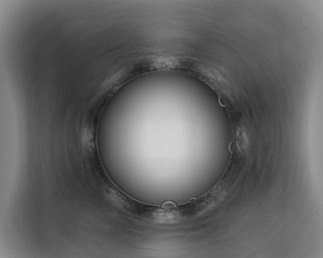 X0000111380714200907101126