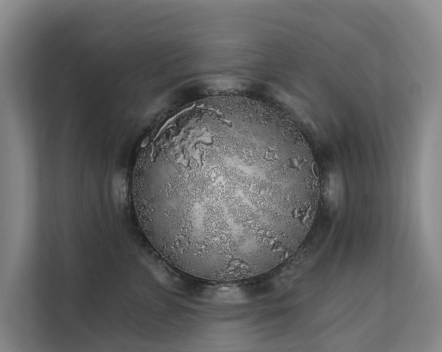 X0000111380715200907101126