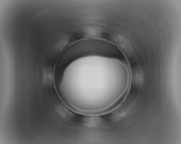 X0000111380716200907101126