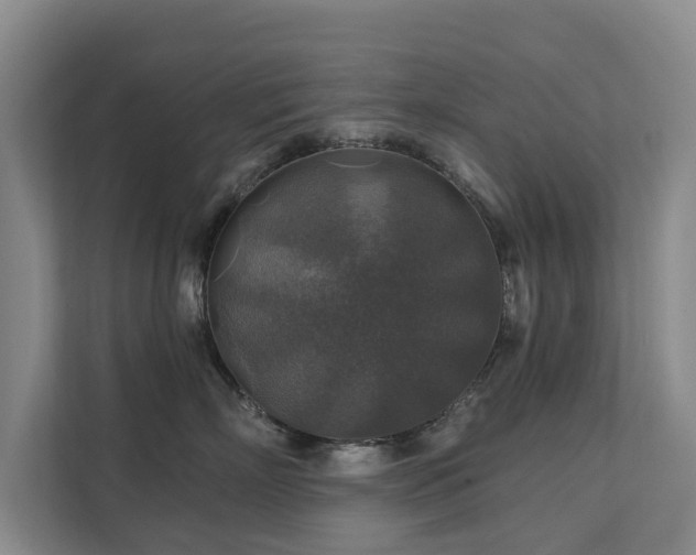 X0000111380718200907101126