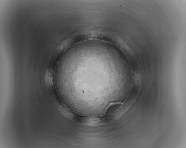 X0000111380719200907101126