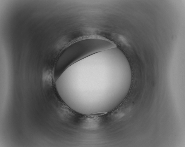 X0000111380720200907101126