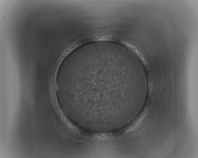 X0000111380721200907101125