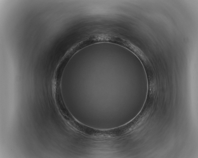 X0000111380722200907101125