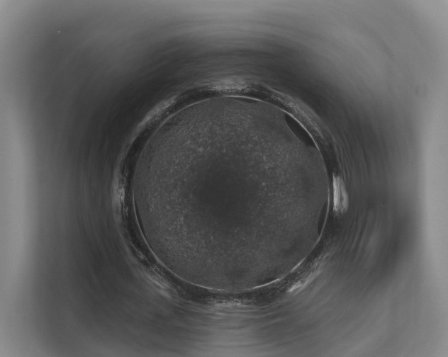 X0000111380723200907101125