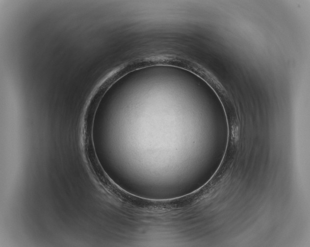 X0000111380724200907101125