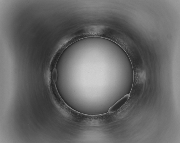 X0000111380726200907101125