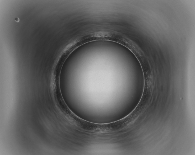 X0000111380727200907101125