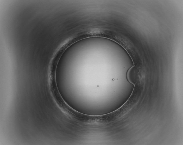 X0000111380728200907101125
