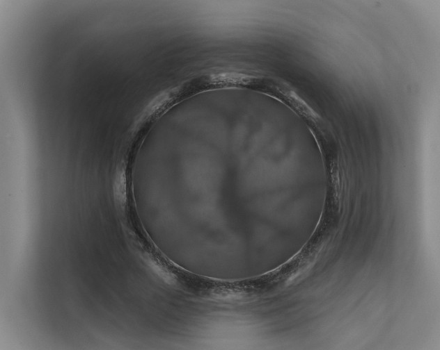 X0000111380729200907101125