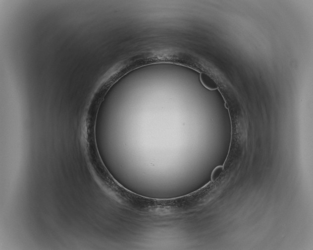 X0000111380730200907101125